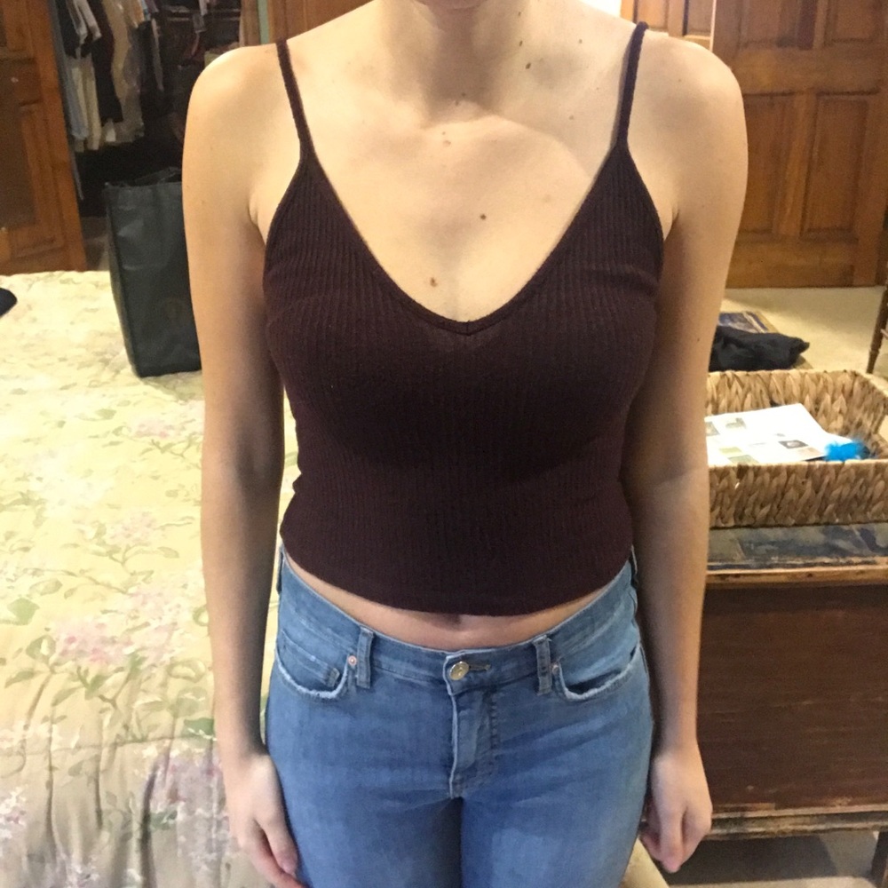 Brandy Melville Maroon Crop Top